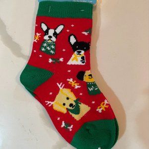 Christmas dog socks never worn
